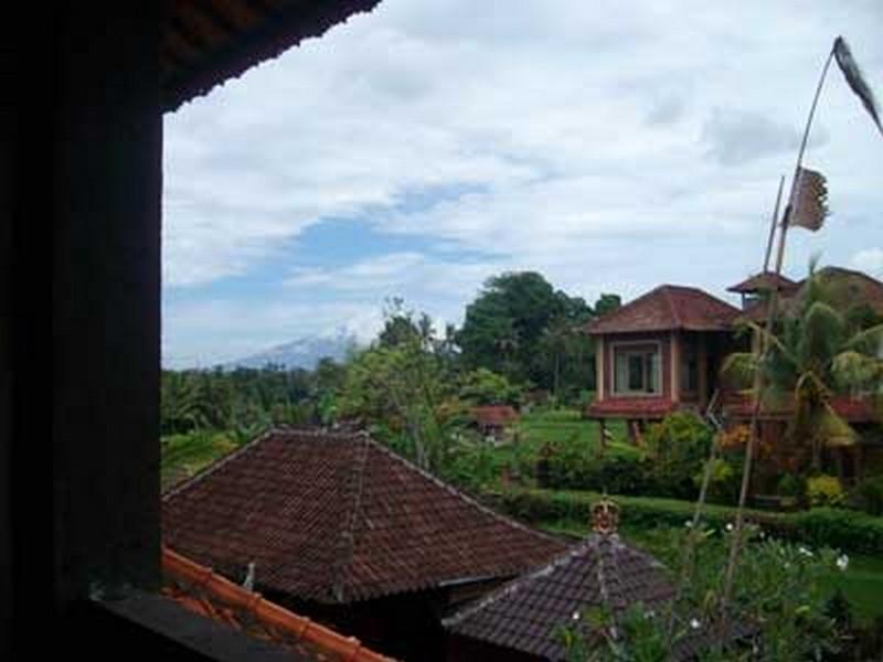 Bali Moon Guest House أوبود المظهر الخارجي الصورة